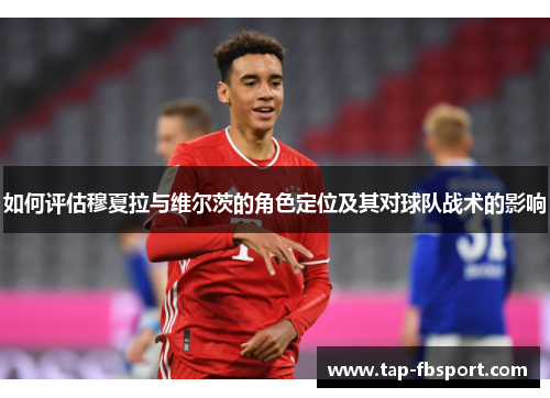 如何评估穆夏拉与维尔茨的角色定位及其对球队战术的影响
