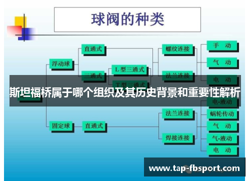 斯坦福桥属于哪个组织及其历史背景和重要性解析 斯坦福桥属于哪个组织及其历史背景和重要性解析