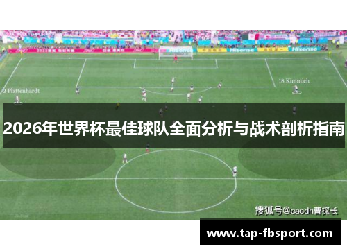 2026年世界杯最佳球队全面分析与战术剖析指南